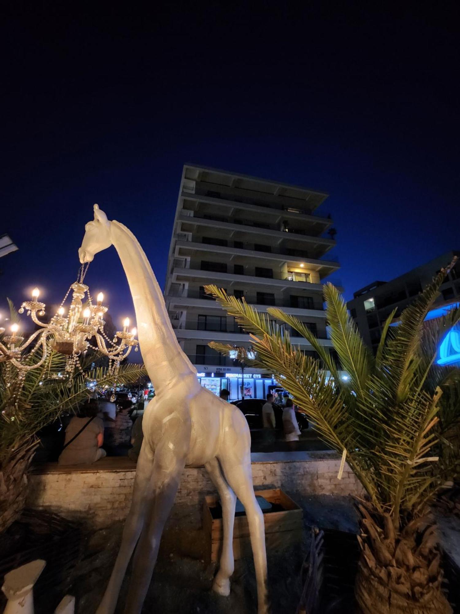 Seaside Amalia Apartament Navodari Bagian luar foto